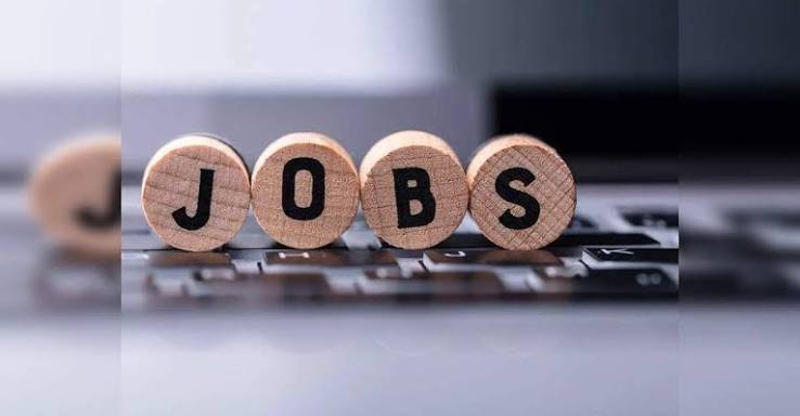 Internship Image